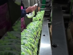 پوشک های نازک نوزاد یونیکانسر